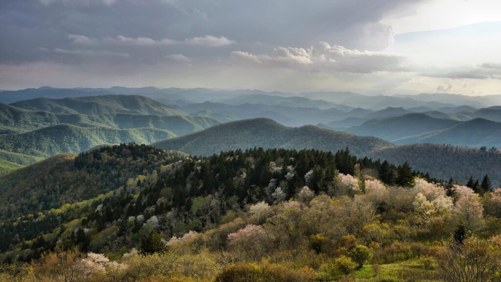 Cowee 1024x576 1