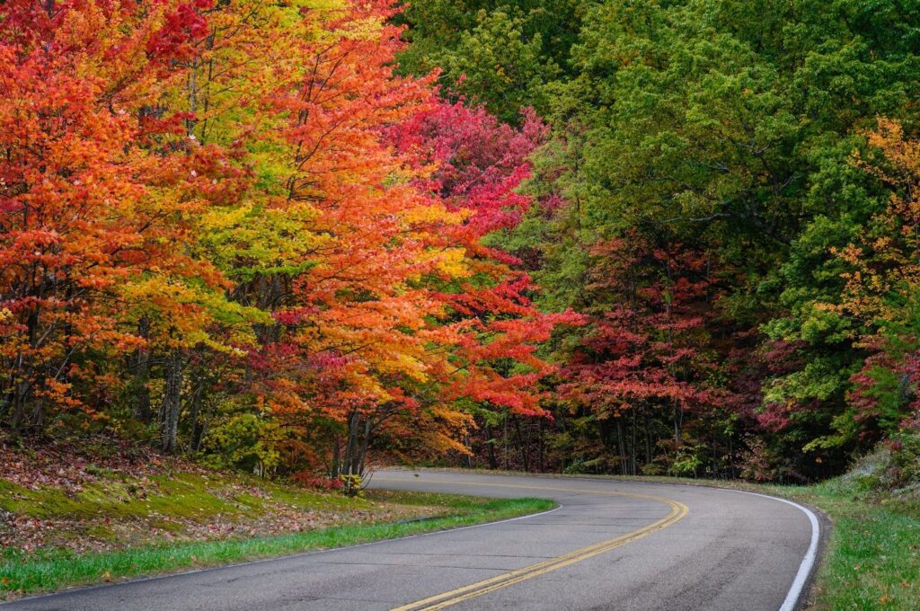 Skyline Drive